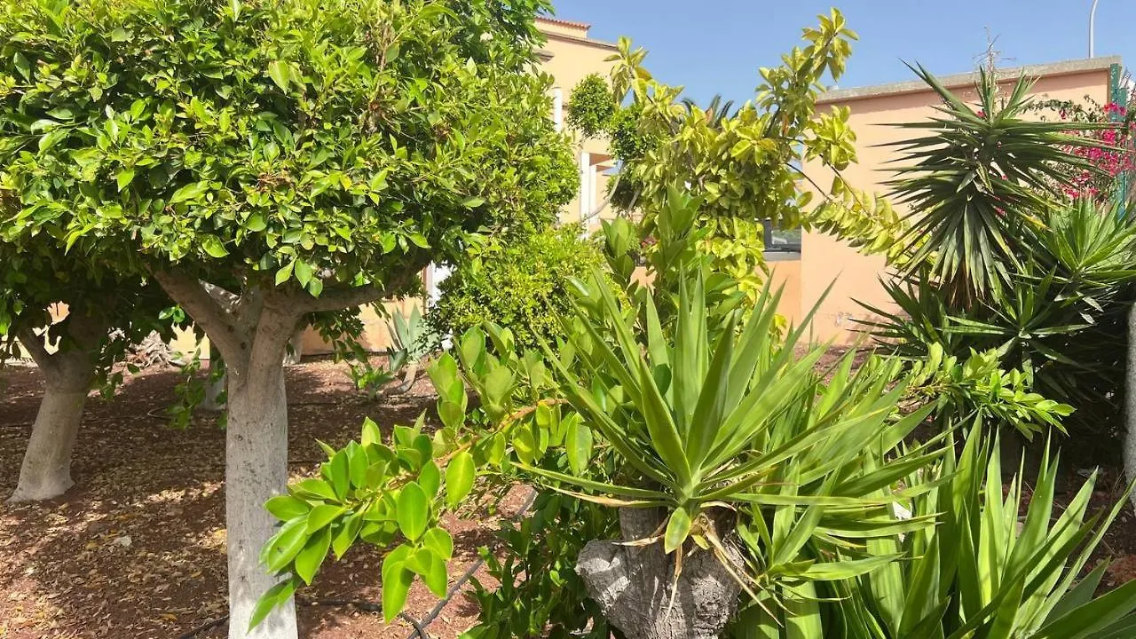 Ocean View Apartment In Orlando contacts
