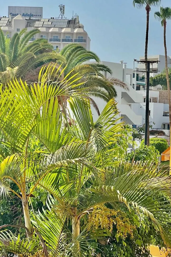 Ocean View Apartment In Orlando Costa Adeje  0*, Costa Adeje (Tenerife)