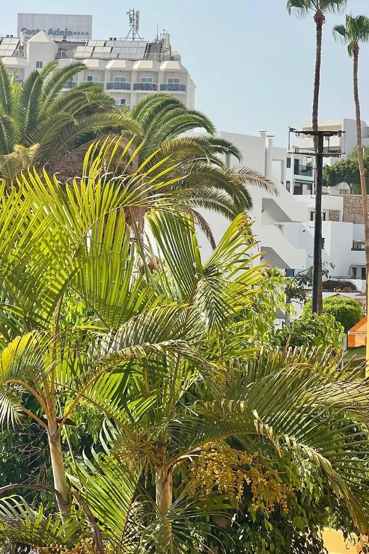 Ocean View Apartment In Orlando Costa Adeje  Spain